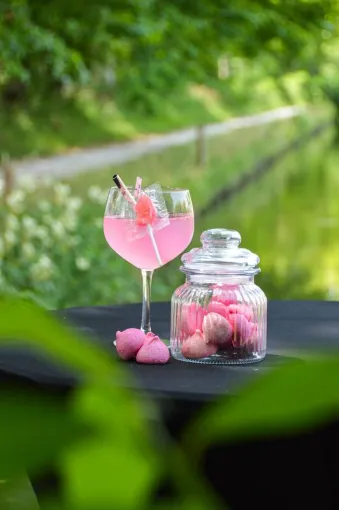 Acheter du Gin Bohème 100% français pour faire des cocktails à Lille, Toulouse, FRENCH BOTTLE