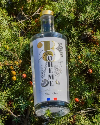 Le gin bohème, un gin primé à découvrir, Toulouse, FRENCH BOTTLE
