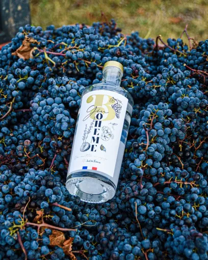 Le gin bohème : un spiritueux de caractère à base de marc de raisin d'Occitanie, Toulouse, FRENCH BOTTLE